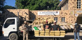 CESFronT decomisa 190 libras de presumible marihuana en un camión en Dajabón
