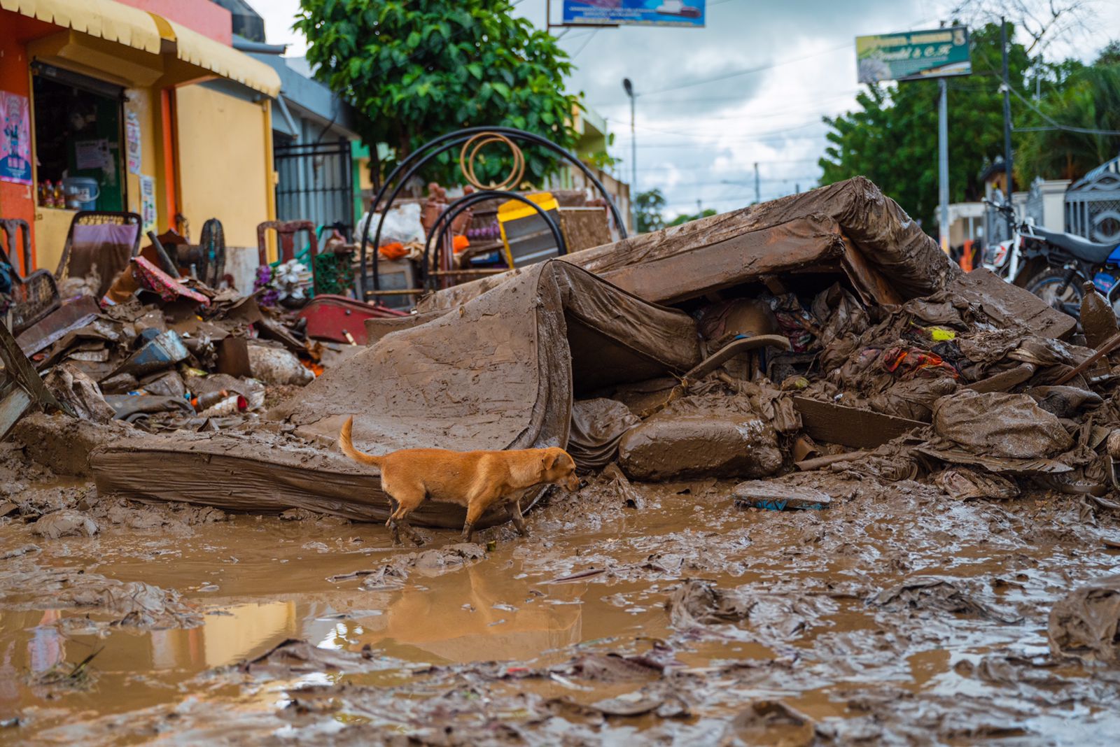 Gobierno dominicano ejecuta acciones rápidas en apoyo a familias afectadas por lluvias en Montecristi