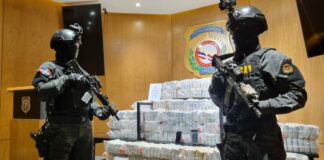 Autoridades dominicanas rompen récord al incautar durante este año más de 31 toneladas de drogas