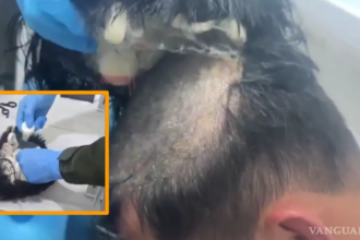 A través de redes sociales se viralizó un video, donde se muestra el ingenio y la creatividad al intentar realizar actividades ilegales, tal es el caso de un sujeto que intentó traficar dosis de droga a través del Aeropuerto Rafael Núñez de la ciudad de Cartagena, Colombia. FOTO: VANGUARDIA