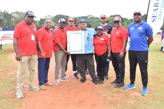 Inauguración torneo béisbol municipal U-12 de la Provincia Santo Domingo.