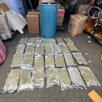 Arrestan hombre con 28 paquetes de marihuana en puerto Haina Oriental