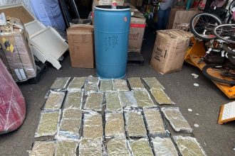Arrestan hombre con 28 paquetes de marihuana en puerto Haina Oriental
