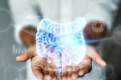 La microbiota intestinal es fundamental para el correcto funcionamiento de los órganos; se adquiere en el momento del parto y se potencia a través de los alimentos y el estilo de vida que se lleveMarko Aliaksandr - Shutterstock