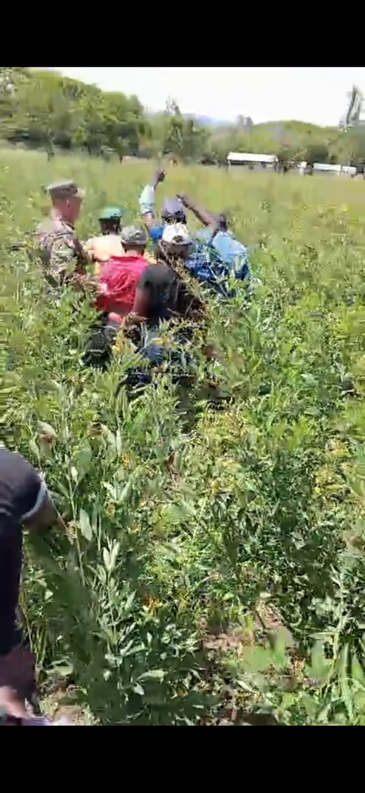 Apresan 18 haitianos escondido en matorrales en San Juan de la Maguana