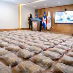 En RD ocupan 334 paquetes de cocaína a narcotraficantes camufladas en auyamas de plástico