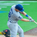 Credit: David Frerker-Imagn Images