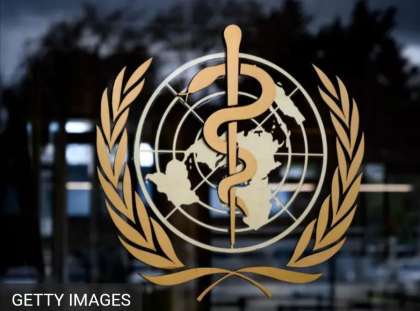 La Organización Mundial de la Salud se estableció oficialmente en 1948