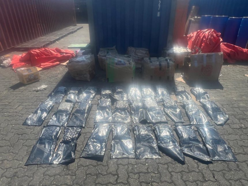 DNCD ocupa 46 paquetes de marihuana en Puerto Haina