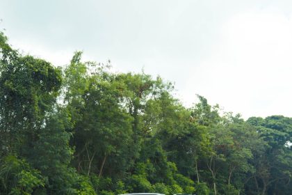 Santo Domingo Motors y Chevrolet lanzan los renovados modelos Colorado y Trailblazer