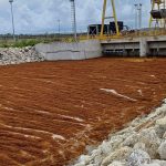 SOS Carbon y Armada Dominicana retirán sargazo en Punta Catalina