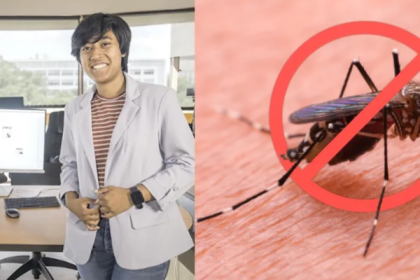 Estudiante crea una trampa para detectar mosquitos con enfermedades: funciona con inteligencia artificial Foto: EFE/ iStock