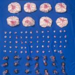 GOLPEAN MICROTRÁFICO DURANTE MES DE AGOSTO AL SACAR DE LAS CALLES MÁS DE UN MILLÓN 400 MIL GRAMOS