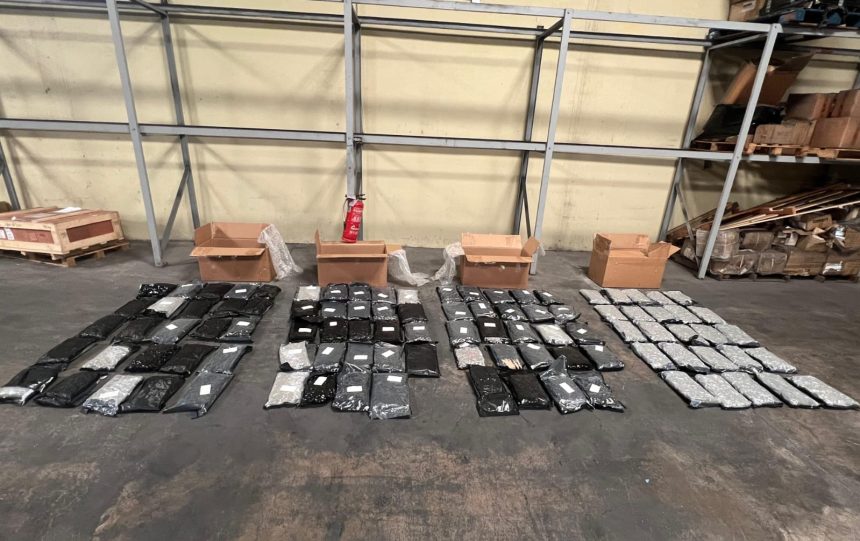 DNCD incauta en el AILA 98 paquetes de MARIHUANA