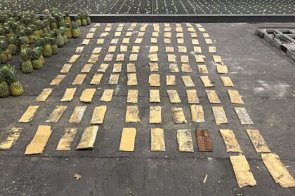 DNCD OCUPA 31 KILOGRAMOS DE COCAINA EN EL AILA