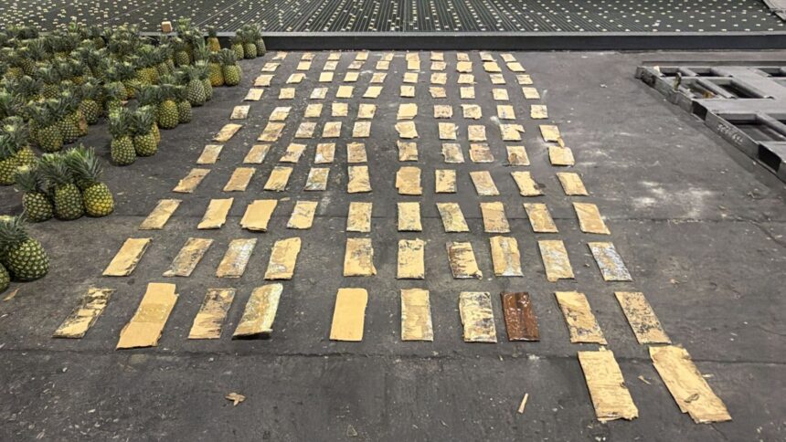 DNCD OCUPA 31 KILOGRAMOS DE COCAINA EN EL AILA