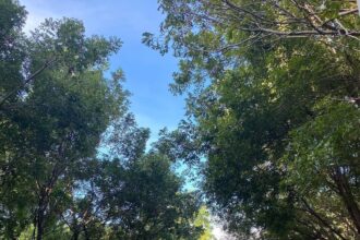 Reabren Parque del Este y el Centro Olímpico después los juegos Centroamericanos y del Caribe
