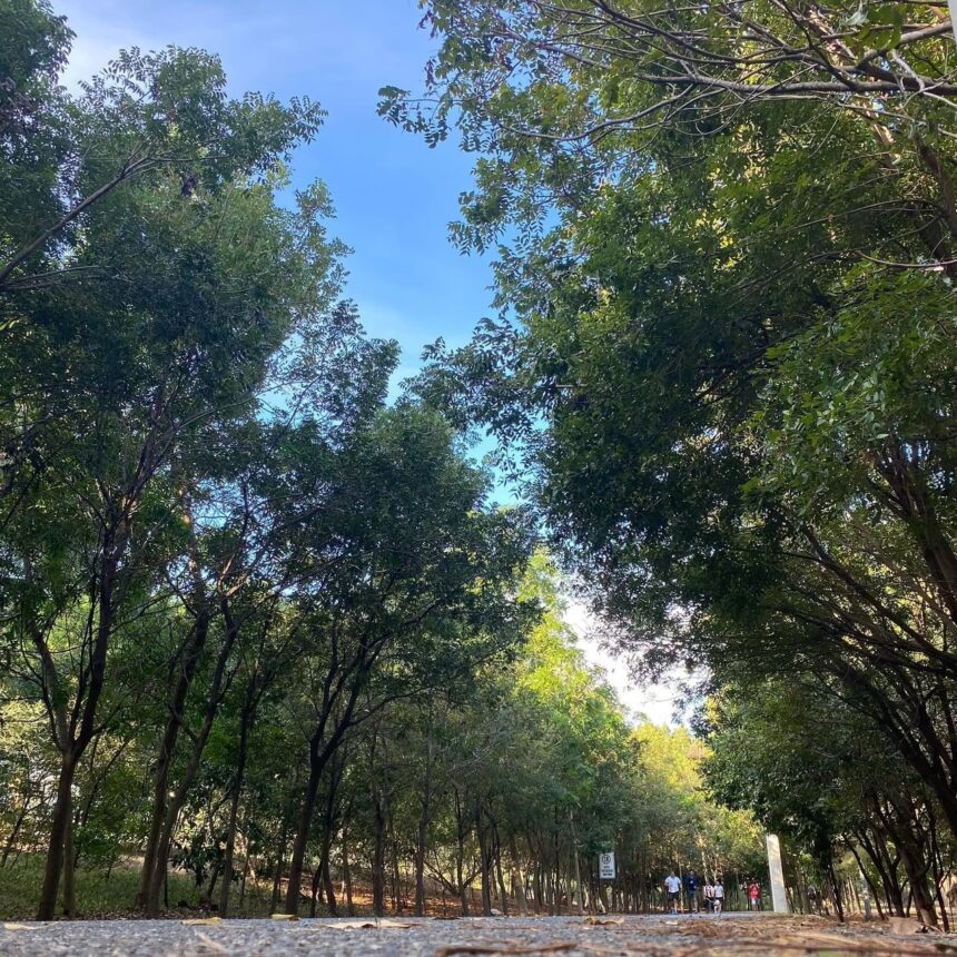Reabren Parque del Este y el Centro Olímpico después los juegos Centroamericanos y del Caribe